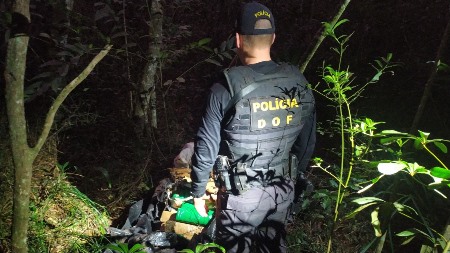 Mais de 70 quilos de maconha abandonados foram apreendidos pelo DOF durante a Operação Hórus