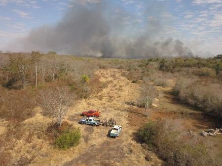 PMA de Bonito identificou o ponto inicial do incêndio no banhado do rio da Prata