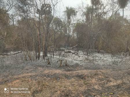 Polícia Militar Ambiental de Bela Vista autua infrator em R$ 2 mil por realizar limpeza e incendiar vegetação 