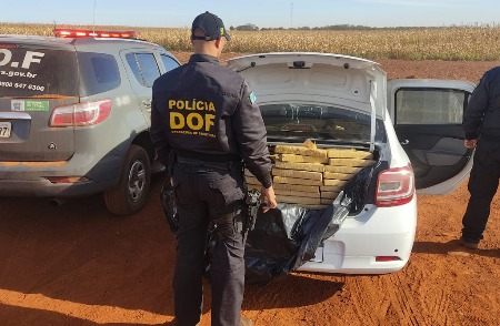 Drogas, armas de fogo, munições, veículos furtados e drone foram apreendidos pelo DOF no final de semana