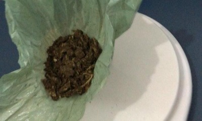 Polícia Militar prende mulher por portar drogas para consumo próprio