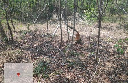 Polícia Militar Ambiental de Bonito autua infratora em R$ 5 mil por desmatamento ilegal de vegetação em área protegida
