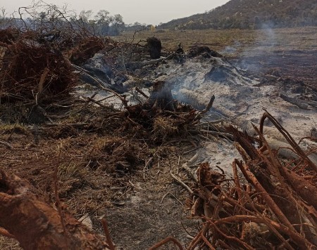 PMA de Bela Vista autua infrator em R$ 3 mil por realizar limpeza de pastagem e incendiar vegetação neste período de proibição