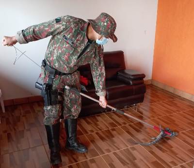 Polícia Militar Ambiental de Porto Murtinho captura lagarto teiú dentro de residência no centro da cidade e o solta no seu habitat natural