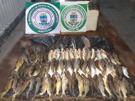PMA de Bonito e Jardim desmontam acampamento e autuam dois catarinenses em R$ 1,8 mil por crime de pesca