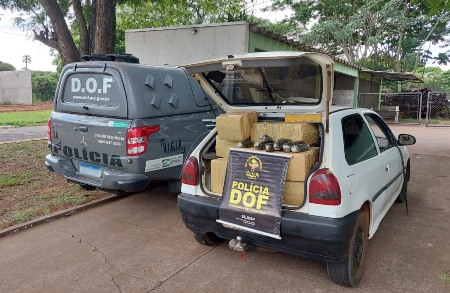 Veículo com mais de 320 quilos de drogas foi apreendido pelo DOF durante a operação Hórus