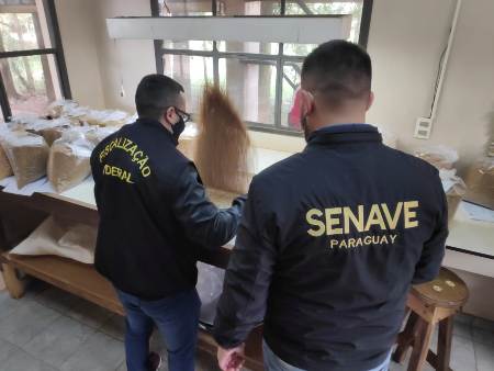 Área de Controle Integrado de Ciudad del Este registra 646 interceptações de pragas em 2021