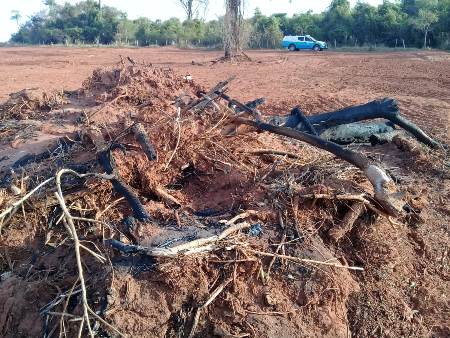PMA autua 129 infratores e aplica R$ 34 milhões em multas por incêndios em 2021