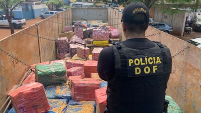 Apreensões de drogas do DOF sobem 300% na primeira quinzena de 2022
