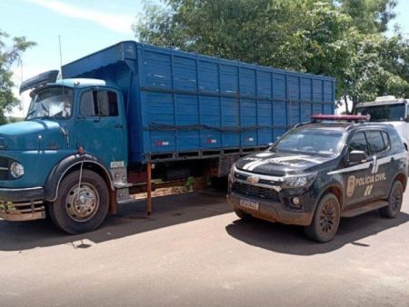 Polícia Civil desarticula quadrilha que furtava gados no Estado e prende em flagrante quatro suspeitos