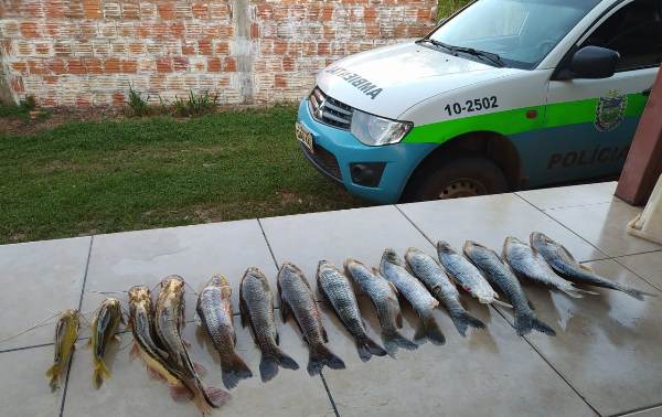 PMA do Distrito de Águas do Miranda autua pescador por capturar pescado acima da cota permitida e apreende caixa com pescado