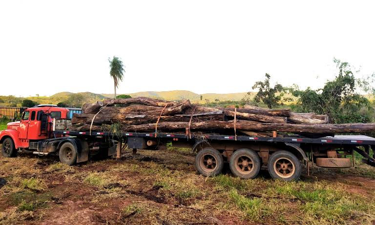 PMA de Águas do Miranda apreende carreta carregada com toras de madeira transportadas ilegalmente e autua motorista em R$ 4,6 mil