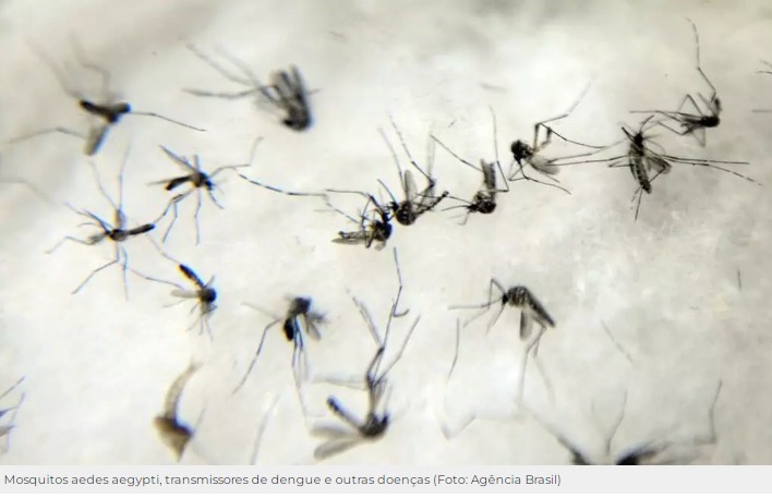 Homem de 55 anos com hipertensão é 15º a morrer por dengue em MS