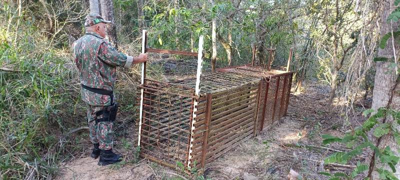 PMA de Batayporã realiza fiscalização contra caçadores em reserva florestal de fazenda, evita caça ilegal e apreende armadilha de caça