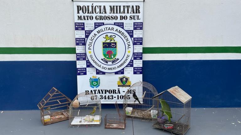 Polícia Militar Ambiental de Batayporã prende e autua infrator em R$ 12 mil por manter aves ilegalmente em cativeiro em Nova Andradina.