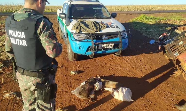 Polícia Militar Ambiental autua 29 caçadores em R$ 49,5 mil em 2022, apreende 16 armas de caça e prende nove infratores