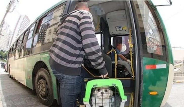 Agência de Regulação orienta passageiros sobre transporte de pets em ônibus intermunicipal