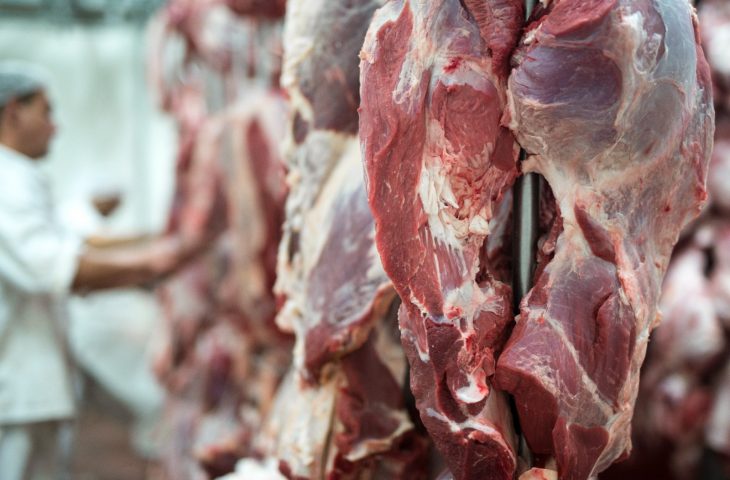 Retirada da vacina antiaftosa no rebanho habilita MS a exportar carne ao México