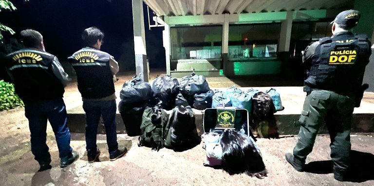 DOF e Sefaz apreendem mais de 400 quilos de cabelo humano avaliados em um milhão de reais