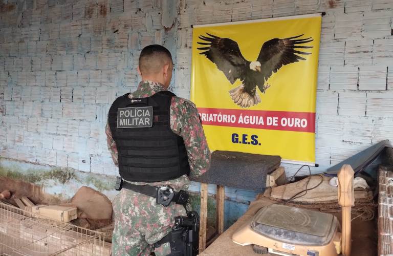 PMA de Campo Grande prende e autua dois homens por maus-tratos a animais (rinha de galo)