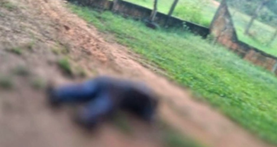Homem mata amigo a facadas durante bebedeira em Itaquiraí
