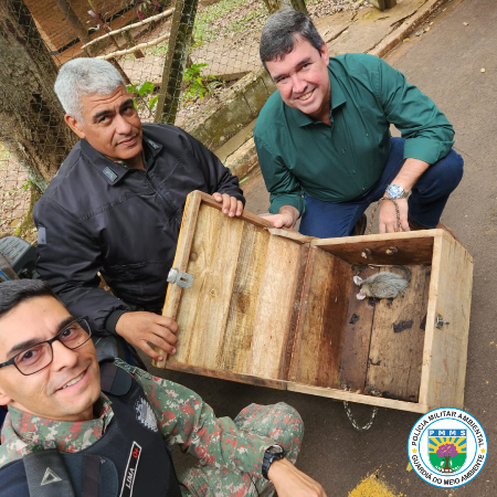 PMA de Campo Grande resgata gambá que estava em bueiro