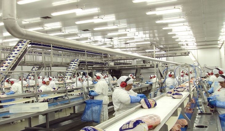 Após ação para controlar gripe aviária, Japão anuncia fim do embargo às exportações de frango de MS