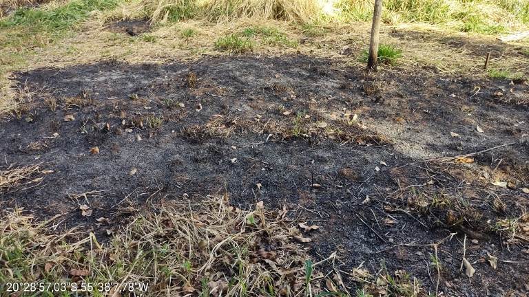 PMA de Aquidauana autua homem por atear fogo em terreno
