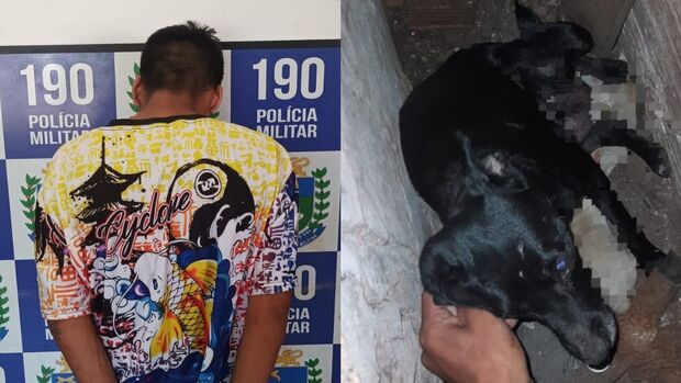 Filho que ameaçou a mãe e matou cãezinhos é preso em Ponta Porã