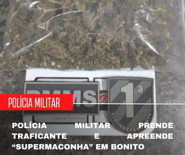 Polícia Militar prende traficante e apreende “supermaconha” em Bonito