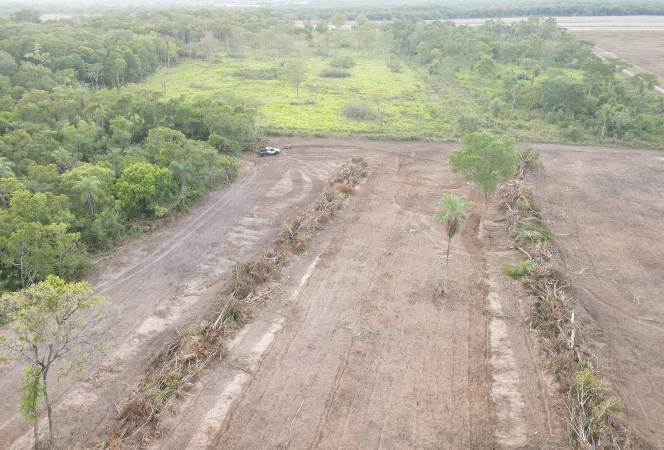  PMA de Bela Vista autua proprietário rural por exploração irregular de 86 hectares de vegetação nativa