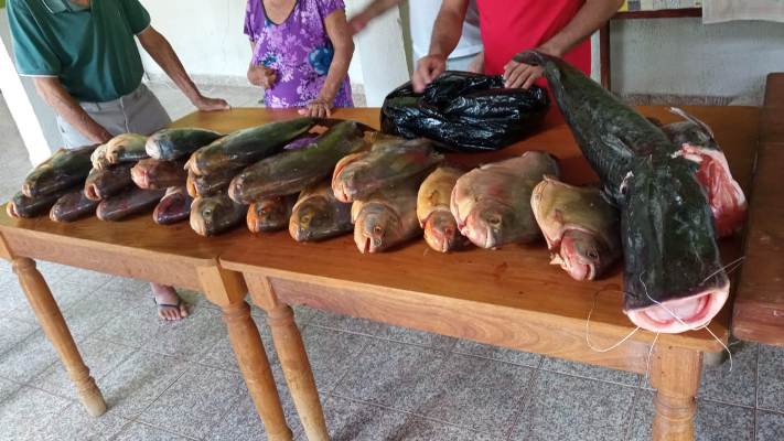 A PMA de Porto Murtinho faz doação, de pescado apreendido durante a operação Semana Santa, para asilos e escolas
