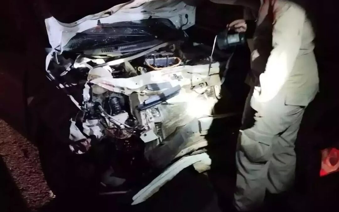 Bela Vista: Motorista atropela anta na BR-060, carro fica destruído e homem sai ileso