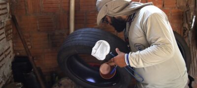 Dengue recua em MS, mas avanço da Chikungunya acende alerta de que cuidados precisam ser mantidos