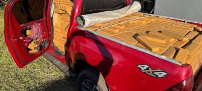 Polícia Civil de Bela Vista realiza apreensão de 1.720 quilos de maconha e prende individuo em flagrante