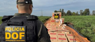 Carga milionária de cigarros contrabandeados é apreendida pelo DOF em Mundo Novo