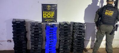 DOF apreende mais de 200 quilos de droga em meio a mata em Ivinhema