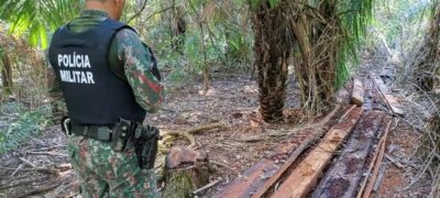 PMA autua empresário por exploração ilegal de vegetação nativa em Caracol