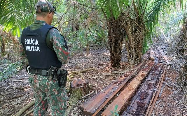 PMA autua empresário por exploração ilegal de vegetação nativa em Caracol