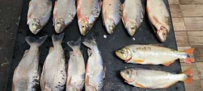 PMA de Coxim autua dupla por pesca irregular no Rio Taquari