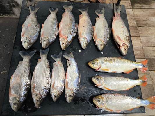 PMA de Coxim autua dupla por pesca irregular no Rio Taquari