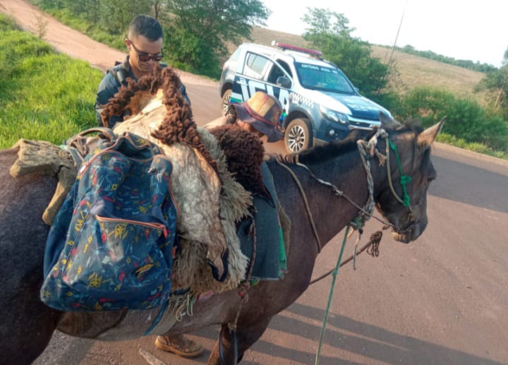 Antônio-joanense é preso com mais de 540 quilos de maconha em cavalo próximo a Cabeceira do Apa MS-166