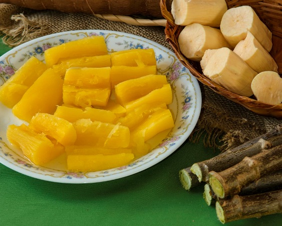 Artigo – Mandioca no Cerrado: inovação que alimenta e gera renda