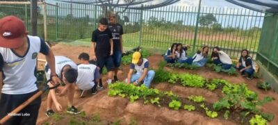 Projeto “Horta Escolar: Frutos para o Amanhã” transforma ensino e fortalece laços na Escola Rural Inácio Silvestre Monteiro