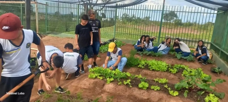 Projeto “Horta Escolar: Frutos para o Amanhã” transforma ensino e fortalece laços na Escola Rural Inácio Silvestre Monteiro