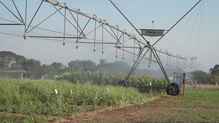Vitrines Tecnológicas do Pantanal Tech MS: Inovação a serviço da sustentabilidade no bioma