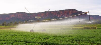 Pantanal Tech MS se consolida como vitrine do agro sustentável, fomento tecnológico e economia criativa