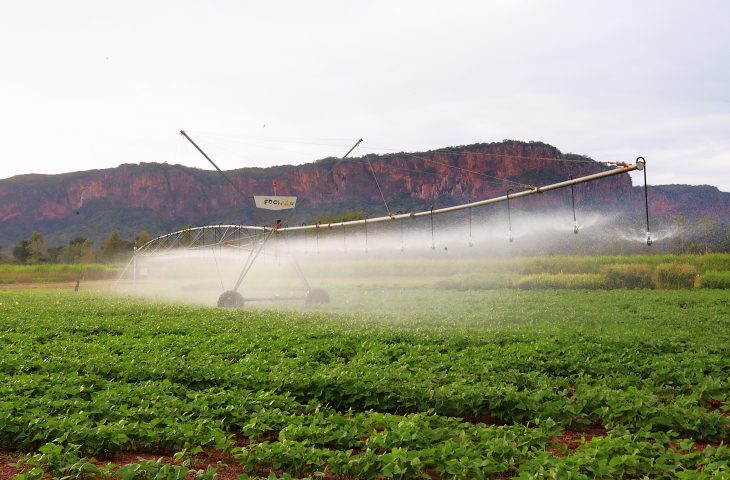 Pantanal Tech MS se consolida como vitrine do agro sustentável, fomento tecnológico e economia criativa