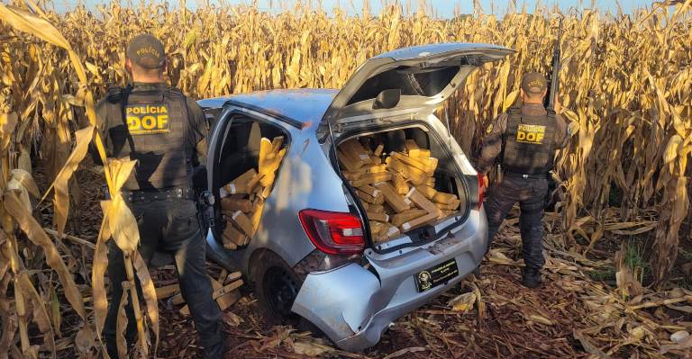 DOF apreende mais de 420 quilos de drogas em Aral Moreira que seguiam para Bataguassu