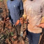 Força-tarefa resgata sete paraguaios vítimas de escravidão contemporânea em Itaquiraí